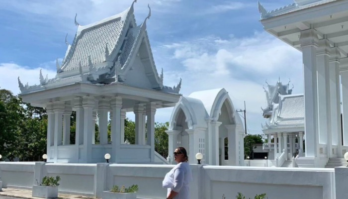 ЗНАКОМСТВО С СИАМОМ