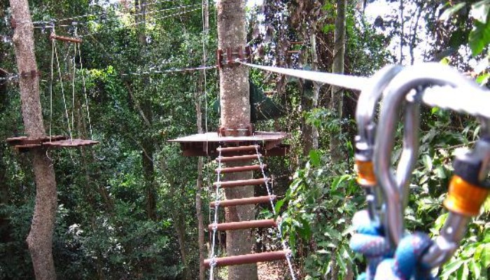 ТАРЗАН - TREE TOP ADVENTURE